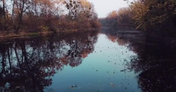 Volo della macchina fotografica sul fiume con vista sugli alberi autunnali e riflessi di fogliame colorato — Video Stock