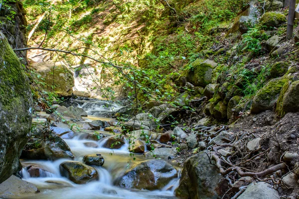 Rio de longa exposição e pedra de musgo verde na floresta — Fotografia de Stock