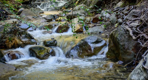 Río de larga exposición y piedra verde musgo en el bosque — Foto de Stock