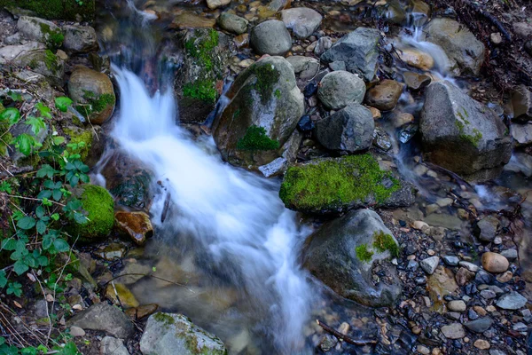 Довгі витримки річки і зеленим мохом камінь у лісі — стокове фото