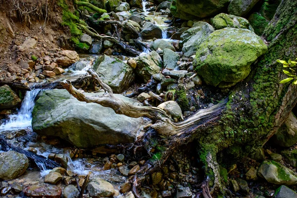 Довгі витримки річки і зеленим мохом камінь у лісі — стокове фото