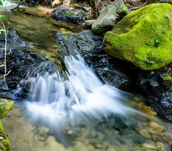 Río de larga exposición y piedra verde musgo en el bosque — Foto de Stock