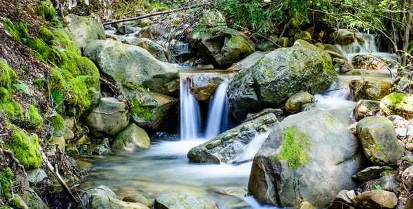 Atraktivní vodopád a zeleným mechem kámen v lese — Stock fotografie