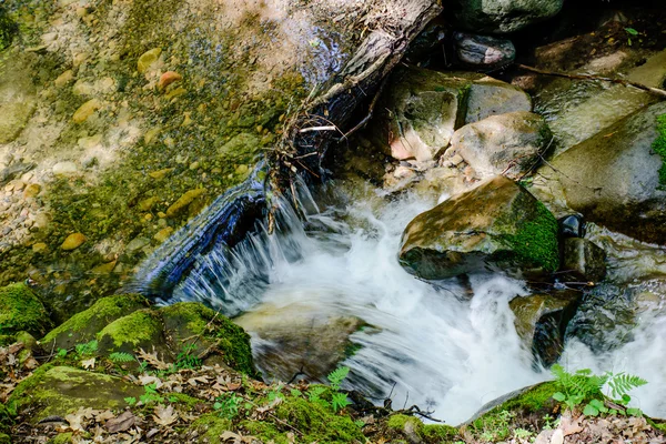 Río de larga exposición y piedra verde musgo en el bosque — Foto de Stock