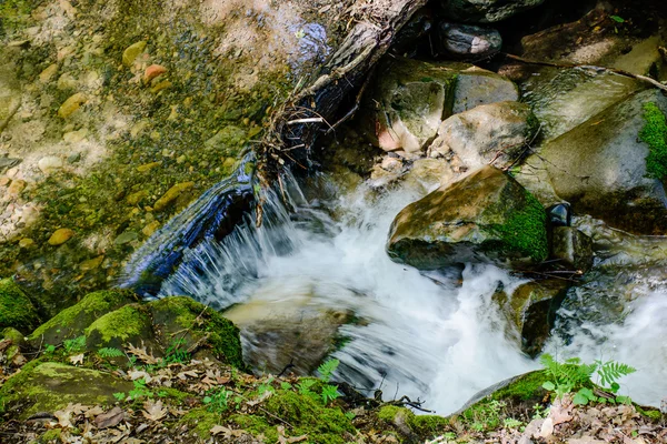 Lange Belichtungszeit Fluss und grünes Moos Stein im Wald — Stockfoto