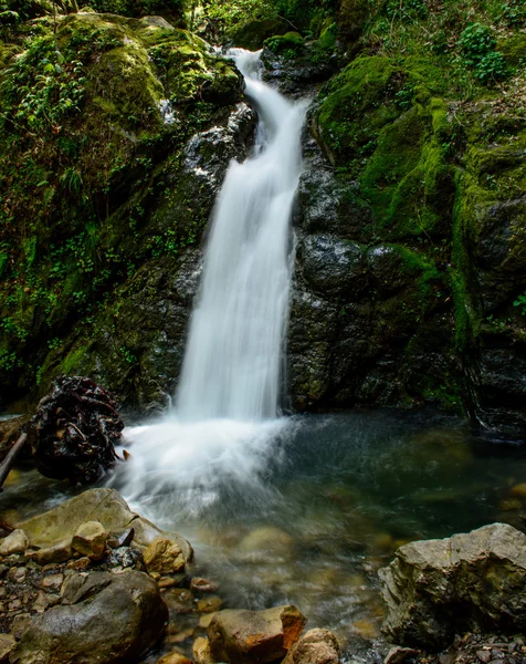 Aantrekkelijke waterval en groene mos steen In bos — Stockfoto