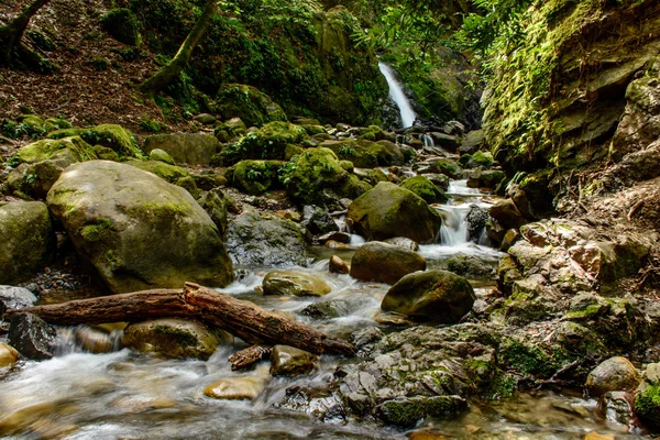 Atraktivní vodopád a zeleným mechem kámen v lese — Stock fotografie