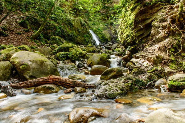 Водоспад привабливим і зеленим мохом камінь у лісі — стокове фото