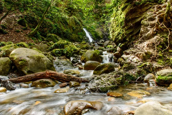 Atraktivní vodopád a zeleným mechem kámen v lese — Stock fotografie