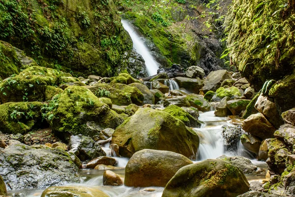 Attractive Waterfall and Green Moss Stone In Forest — Stock Photo, Image