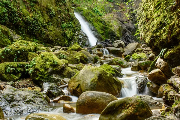 Attractive Waterfall and Green Moss Stone In Forest — Stock Photo, Image