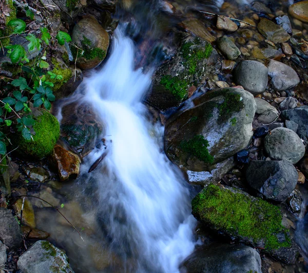 Río de larga exposición y piedra verde musgo en el bosque — Foto de Stock