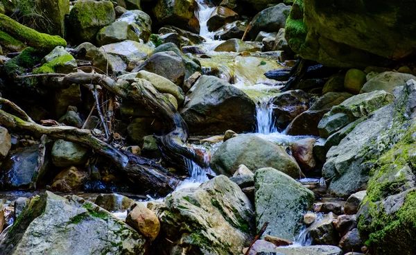 Río de larga exposición y piedra verde musgo en el bosque — Foto de Stock