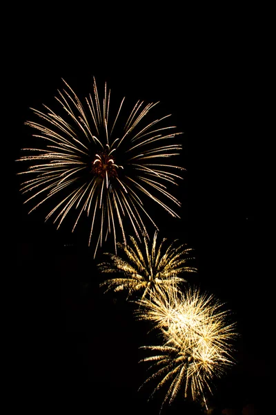 Fuochi d'artificio colorati in una notte celebrativa — Foto Stock