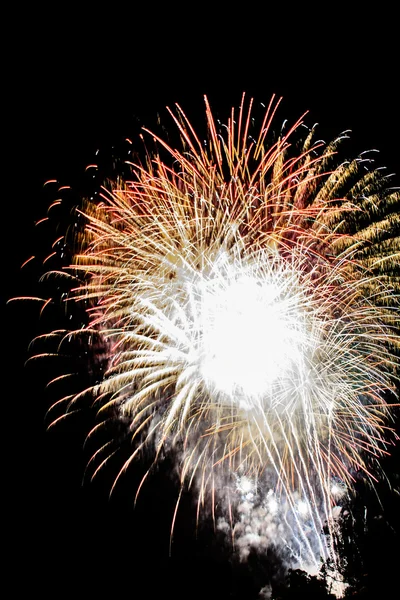 Fuochi d'artificio colorati in una notte celebrativa — Foto Stock