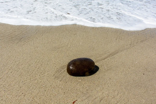 Pedra na areia em Pacific Beach — Fotografia de Stock