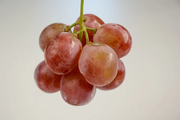 光室拍的葡萄 — 图库照片