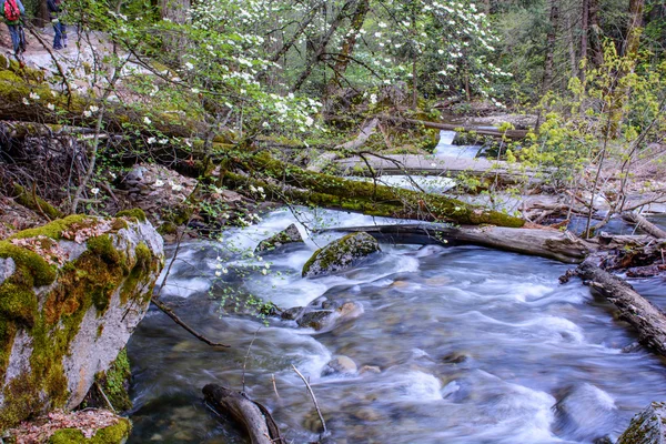 Řeka v Yosemite — Stock fotografie