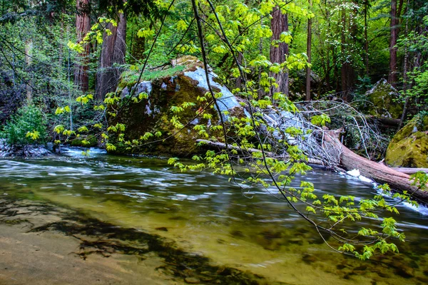 Fluss am Yosemite — Stockfoto