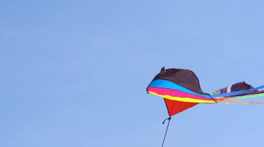 Baharda uçurtma uçurmak (4K)