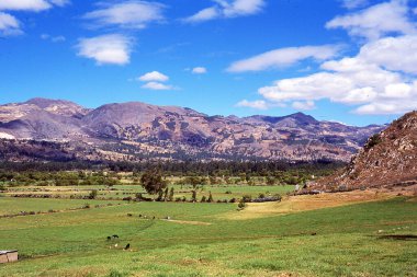   Yeşil dağ cajamarca peru  