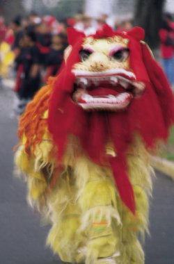 Peru-Performans göstericileri Lima City 'nin Çin Mahallesi' ndeki bir gösteri sırasında bir Ejderha aksesuarını soydular.
