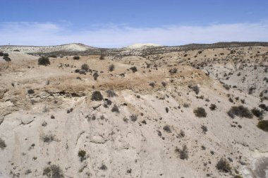 Neuquen Arjantin çölündeki Triassic Jurassic Park 'ta dinozor delikleri arkeologları tarafından keşfedildi.,