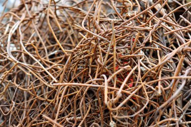 Terk edilmiş paslı inşaat çubukları, binalardaki çöp konsepti, yeniden kullanılmak üzere seçilmiş çelik çimento yapısı.