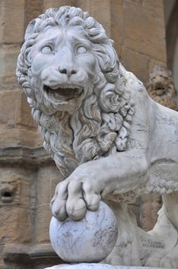 Medici aslanları, biri Roma kökenli, diğeri de 16. yüzyıldan kalma bir çift mermer aslan heykelidir. Roma 'daki Villa Medici' de ve 1789 'dan beri Loggia dei Lanzi, Floransa' da sergilenmektedir..