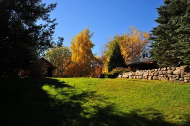 Arjantin neuen prodence panoramik viux, Lacar gölü dağ ağacı manzarası mavi gökyüzü
