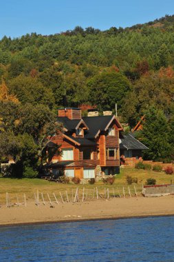 Sonbaharda ağaçlarla dolu bir orman ve soğuk bir sabahta yapraklarının arasından geçen güneş neuquen neuquen panoramik viux akçaağaç ağacından yapılmış lüks bir ev ahşap