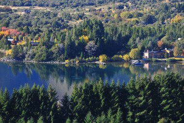 Sonbaharda ağaçlı orman ve soğuk bir sabah pintoresk neuquen arjantin panoramik viux akçaağaç bitkisinin yaprakları arasından güneş.