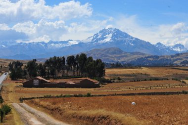Chicon, Peru 'nun And Dağları' nda, Calca Bölgesi 'nin Cusco Bölgesi' nde ve Urubamba Bölgesi 'nin Urubamba Bölgesi' nde yer alan bir dağdır..