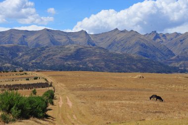Chicon, Peru 'nun And Dağları' nda, Calca Bölgesi 'nin Cusco Bölgesi' nde ve Urubamba Bölgesi 'nin Urubamba Bölgesi' nde yer alan bir dağdır..