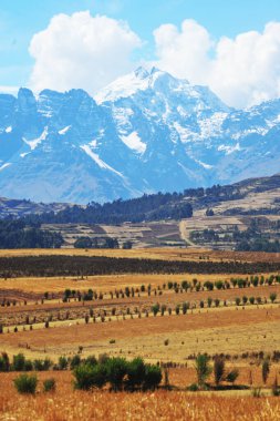 Chicon, Peru 'nun And Dağları' nda, Calca Bölgesi 'nin Cusco Bölgesi' nde ve Urubamba Bölgesi 'nin Urubamba Bölgesi' nde yer alan bir dağdır..