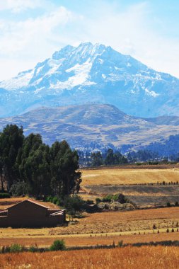 Chicon, Peru 'nun And Dağları' nda, Calca Bölgesi 'nin Cusco Bölgesi' nde ve Urubamba Bölgesi 'nin Urubamba Bölgesi' nde yer alan bir dağdır..