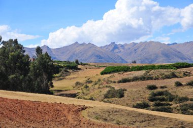 Chicon, Peru 'nun And Dağları' nda, Calca Bölgesi 'nin Cusco Bölgesi' nde ve Urubamba Bölgesi 'nin Urubamba Bölgesi' nde yer alan bir dağdır..
