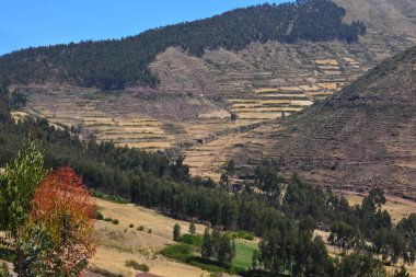 Valley, panoramik, peyzaj, panoramik, seyahat, manzara, doğa, ağaç, turizm, açık hava, dağ gökyüzü, bina, yeşil, şehir, eski, açık hava, güzel, tepe, ağaçlar, kutsal vadi, cusco, peru,