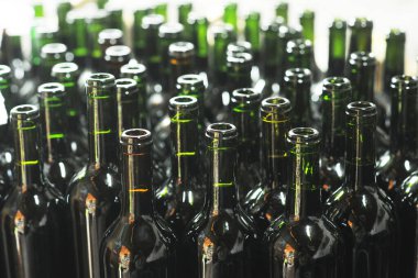 Şarap fabrikası boş şişeler