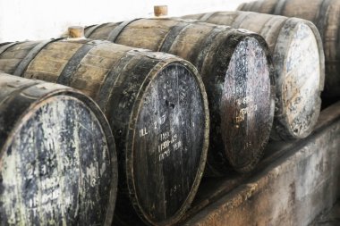 Ahşap, şarap, fıçı, şarap, şarap, şarap, yemek, pazar, tarım, şarap, hasat, renk, balkabağı,