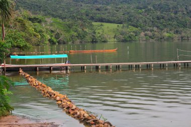 Güzel Mauritius palmiyeleri ile mavi göl manzarası gölün sakin sularında yansıyan, Amazon yağmur ormanlarındaki ahşap iskele Tarapoto Peru