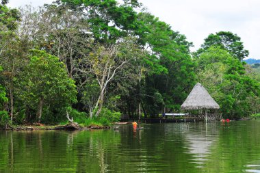 Peru Amazon 'da el yapımı ahşap rıhtımlı resim mavisi lagün gölü, Amazon panoramik viux laguna azul tapoto peru