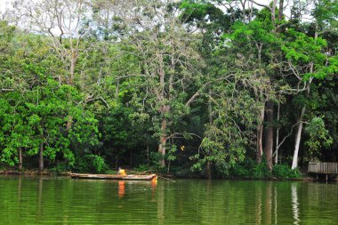 Peru Amazon 'da el yapımı ahşap rıhtımlı resim mavisi lagün gölü, Amazon panoramik viux laguna azul tapoto peru