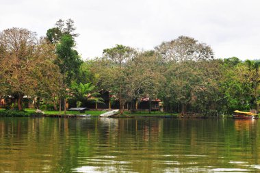 Peru Amazon 'da el yapımı ahşap rıhtımlı resim mavisi lagün gölü, Amazon panoramik viux laguna azul tapoto peru