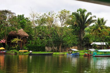 Peru Amazon 'da el yapımı ahşap rıhtımlı resim mavisi lagün gölü, Amazon panoramik viux laguna azul tapoto peru