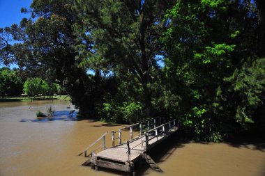 Tigre, buenos aires Prodence, Argentina, island, beautiful fu, I nature, water, sky, scape, blue, tree, river