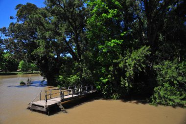Tigre, buenos aires Tanrı, Arjantin, ada, güzellik, I nature, water, sky, scape, blue, tree, river, panorama, trees, green, forest, lake, summer,,