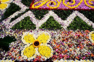 Halı çiçeği, taç yaprağı, tapınma, din, mihrap, sokak, arka plan, renk, sanatçı, sanat, inanç, katolik, kutlama, tören, Hıristiyanlık, chiurch, kültür, dfecpration, desing, hedef, çiçek, halı, çiçek, corpus christi, Peru, Peru, insan değil, tam çerçeve,