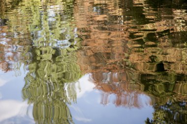 göl suyu ağaçta yansımaları