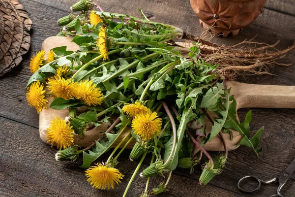 Dandelions Frescos Com Raízes Fundo Madeira — Fotografia de Stock